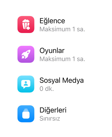 Uygulama kategorileri ve her biri için ayrılan süre.