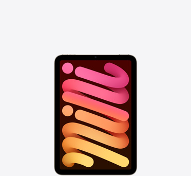 iPad&nbsp;mini
