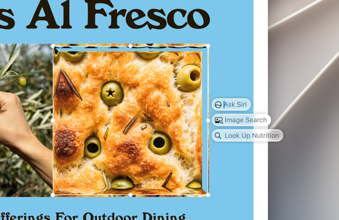 Die Symbole für Visuelle Intelligenz, Frag Siri, Bildersuche und Nährwertanzeige erscheinen rechts neben einem hervorgehobenen Bild von Oliven, die in Focaccia gebacken sind